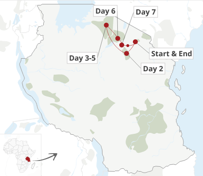 Tanzania Safari 7-Day Mid-Range Epic Adventure (Stay on the Crater Rim)